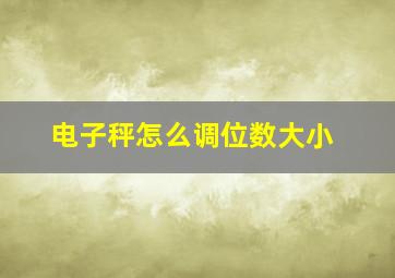 电子秤怎么调位数大小