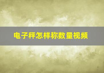 电子秤怎样称数量视频