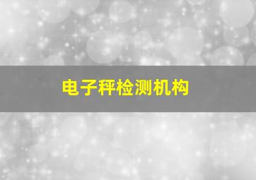 电子秤检测机构