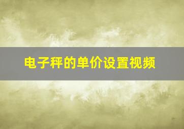 电子秤的单价设置视频