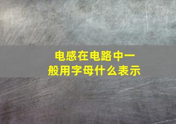 电感在电路中一般用字母什么表示