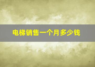 电梯销售一个月多少钱