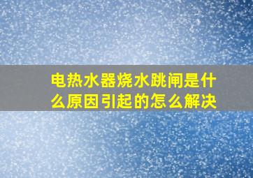 电热水器烧水跳闸是什么原因引起的怎么解决