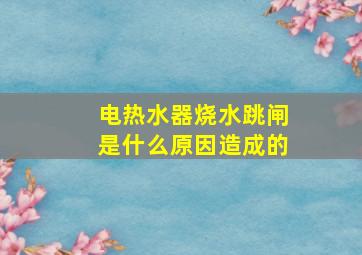 电热水器烧水跳闸是什么原因造成的