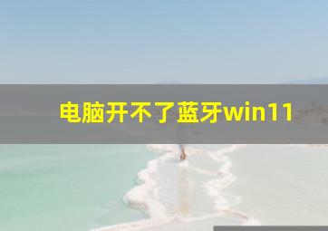 电脑开不了蓝牙win11