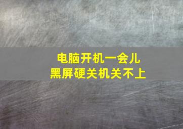 电脑开机一会儿黑屏硬关机关不上