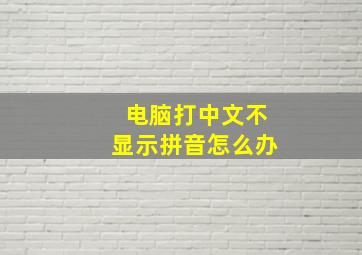 电脑打中文不显示拼音怎么办