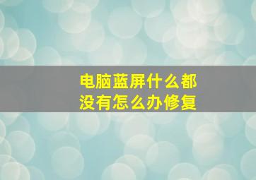 电脑蓝屏什么都没有怎么办修复