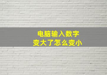 电脑输入数字变大了怎么变小