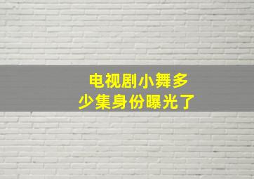 电视剧小舞多少集身份曝光了