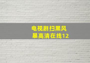 电视剧扫黑风暴高清在线12