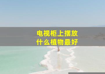 电视柜上摆放什么植物最好