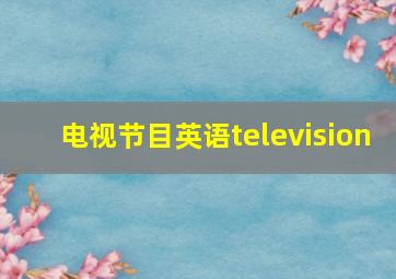 电视节目英语television