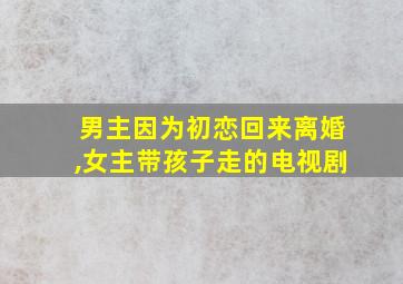 男主因为初恋回来离婚,女主带孩子走的电视剧