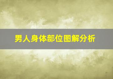 男人身体部位图解分析