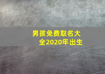 男孩免费取名大全2020年出生