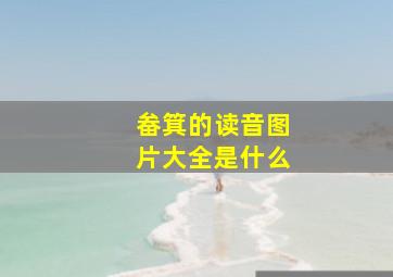 畚箕的读音图片大全是什么