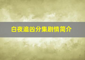 白夜追凶分集剧情简介