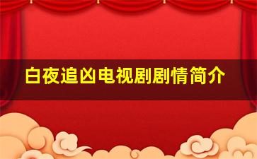 白夜追凶电视剧剧情简介