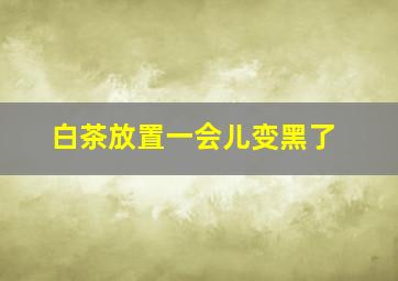 白茶放置一会儿变黑了