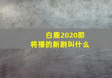 白鹿2020即将播的新剧叫什么