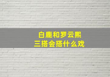 白鹿和罗云熙三搭会搭什么戏