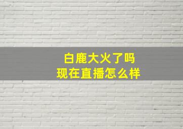 白鹿大火了吗现在直播怎么样