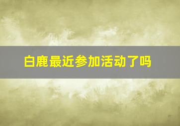 白鹿最近参加活动了吗