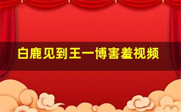 白鹿见到王一博害羞视频