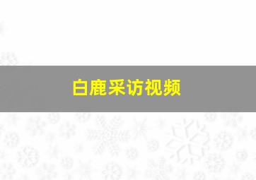 白鹿采访视频