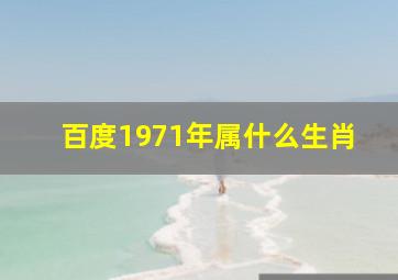 百度1971年属什么生肖