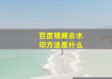 百度视频去水印方法是什么