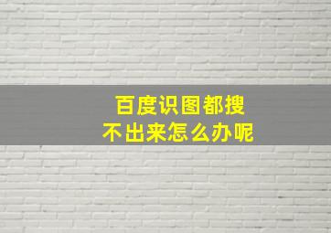 百度识图都搜不出来怎么办呢