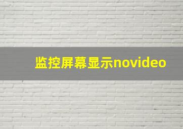 监控屏幕显示novideo