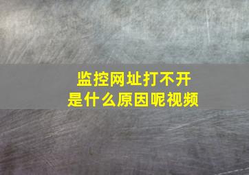 监控网址打不开是什么原因呢视频