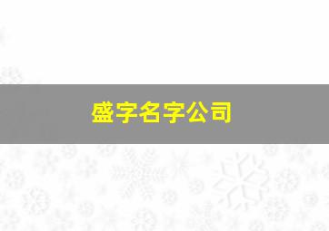 盛字名字公司