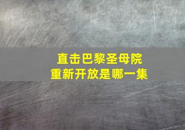 直击巴黎圣母院重新开放是哪一集