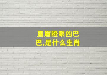 直眉瞪眼凶巴巴,是什么生肖