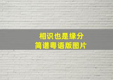 相识也是缘分简谱粤语版图片