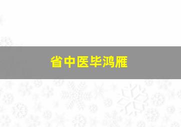 省中医毕鸿雁