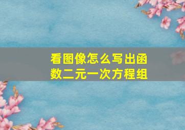 看图像怎么写出函数二元一次方程组