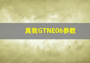 真我GTNE06参数