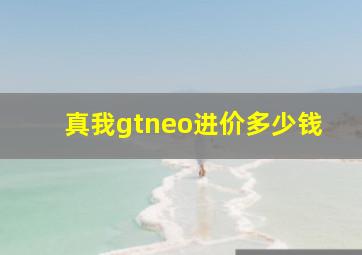 真我gtneo进价多少钱