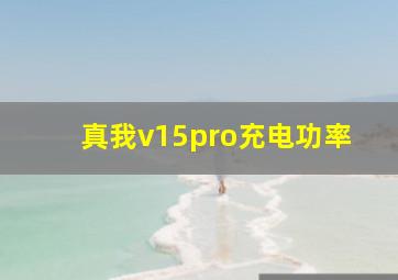 真我v15pro充电功率