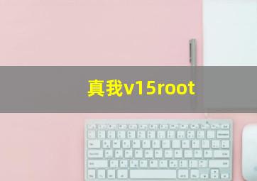 真我v15root