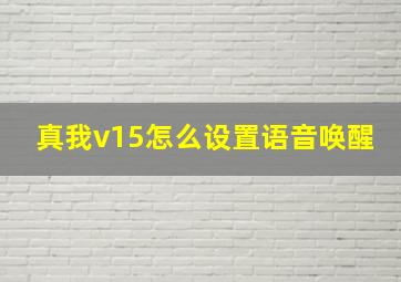 真我v15怎么设置语音唤醒