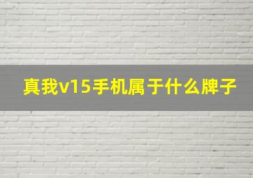 真我v15手机属于什么牌子