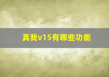 真我v15有哪些功能