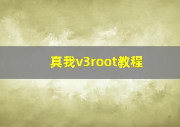 真我v3root教程