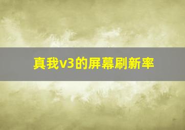 真我v3的屏幕刷新率